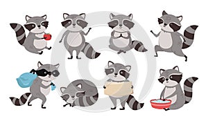Raccoon mascot. Funny thief coon, mammal animal character and cute little raccoons cartoon vector set
