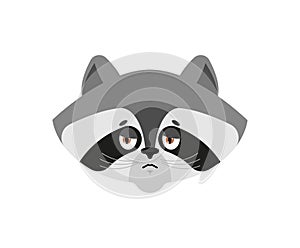 Raccoon sad emoji. Racoon sorrowful emotions. Coon dull. Vector illustration