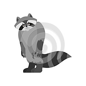 Raccoon sad. Racoon sorrowful emotions. Coon dull. Vector illustration