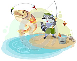 Raccoon scout fishing. Fisherman caught big fish