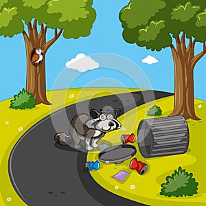 Raccoon searching trash in park