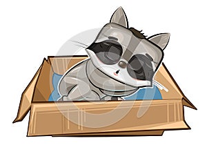 The Raccoon sleeps in a cardboard box. A pet as a gift or a homeless person. Childrens illustration. The cute animal
