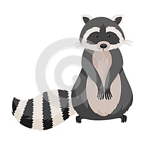 Raccoon Specie with Striped Tail Standing on Hind Legs Vector Illustration