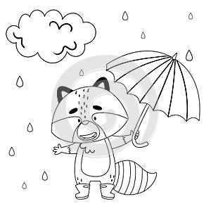 A raccoon stands with a umbrella and boots under the cloud. Drawn in black and white style