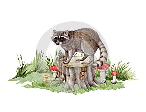 Raccoon on the tree stump. Hand drawn illustration. Forest wildlife scene. Cute raccoon standing on the tree stump with