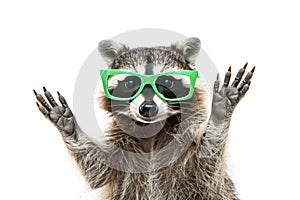 a raccoon wearing green sunglasses is standing on its hind legs with its arms outstretched