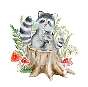 Raccoon with wildflowers. Mom and baby isolated on white background. Forest animals