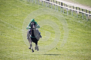 Race horse galloping down course