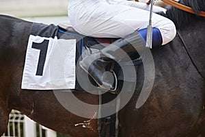 Race horse with jockey before the race. Effort background