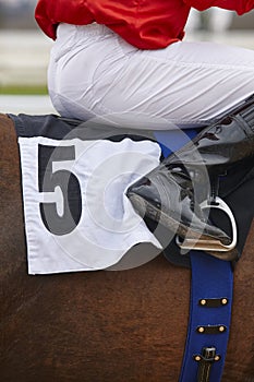 Race horse with jockey ready to run. Paddock area.