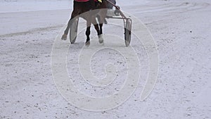 Race horse legs with riders in wheel carts compete on snowy track in winter. 4K