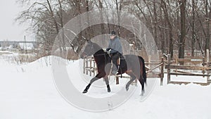 Race horse with woman rider running on snow ring