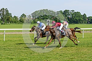 Race horses on the Partynice track.