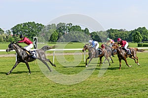 Race horses on the Partynice track.