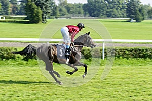 Race horses on the Partynice track.