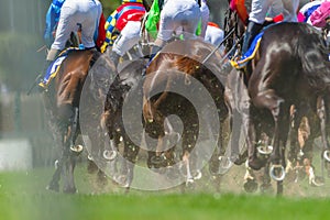 Horse Racing Legs Hoofs photo