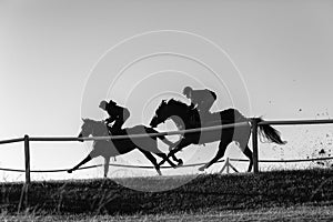 Race Horses Running Black White