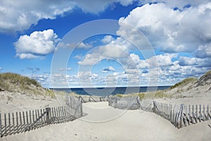 Race Point Beach, Provincetown Massachusetts photo