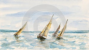 The race of sailboats