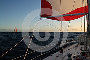 Race yacht spinnaker