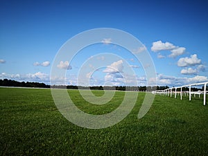 Racecourse, York, North Yorkshire, Summer 2019