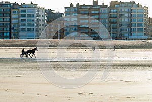Racehorse training on the beach