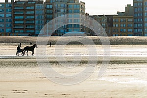 Racehorse training on the beach