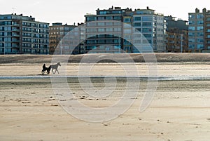 Racehorse training on the beach