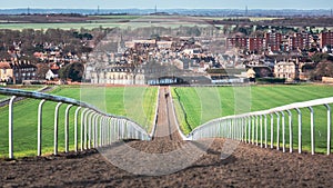 Racehorse Training Strength & Stamina