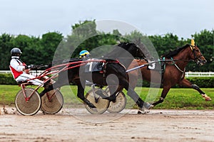 Racetrack horse racing jockey approaching the finish line, sports with horses