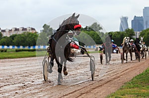 Racetrack horse racing jockey approaching the finish line, sports with horses