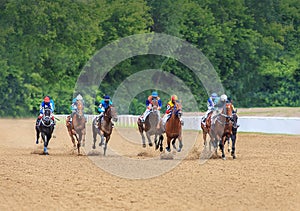 Racetrack horse racing jockey approaching the finish line, sports with horses,