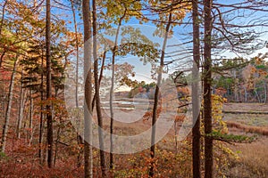 Rachel Carson National Wildlife Refuge Landscape