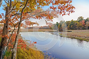 Rachel Carson National Wildlife Refuge Landscape photo