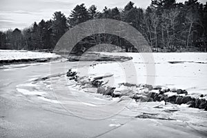 Rachel Carson National wildlife refuge winter landscape