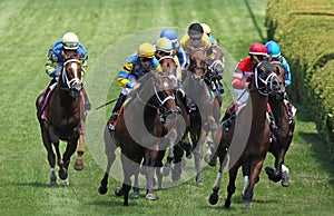 Racing Down The Grass Track