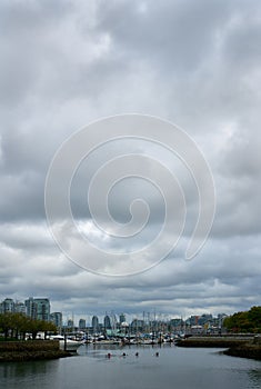 Racing Outriggers False Creek