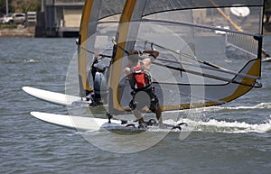 Racing Sailboarders
