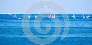 Racing sailboats