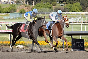 Racing to the Finish