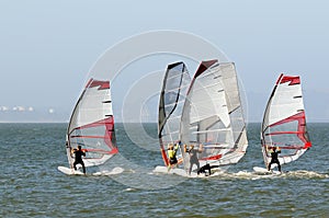 Racing Windsurfers