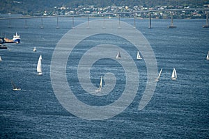 racing yachts on the river derwent