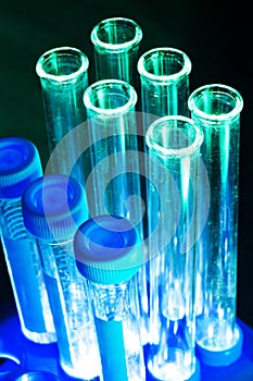 Rack of Empty Vials and Test Tubes