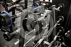 A rack of EZ and straight bar barbells with fixed weights at a gym or fitness club