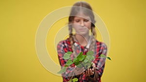 Rack focus from green wet plant in female adolescent hands to concentrated Caucasian teenage girl at yellow background