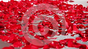 Rack focus shot of red rose petals in bathtub, Hotel Amar Villas, Agra, Uttar Pradesh, India