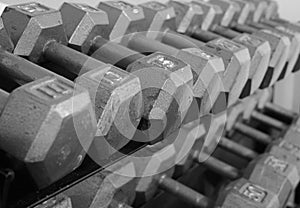 Rack of Free Weight Dumbells