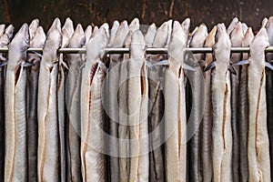 Rack with fresh smoked eel in The Netherlands