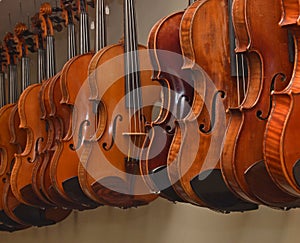 Rack of hanging violins 1