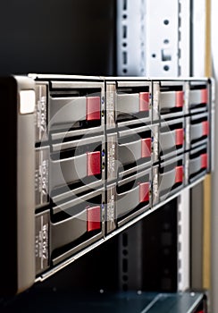 Rack-mounted disk array